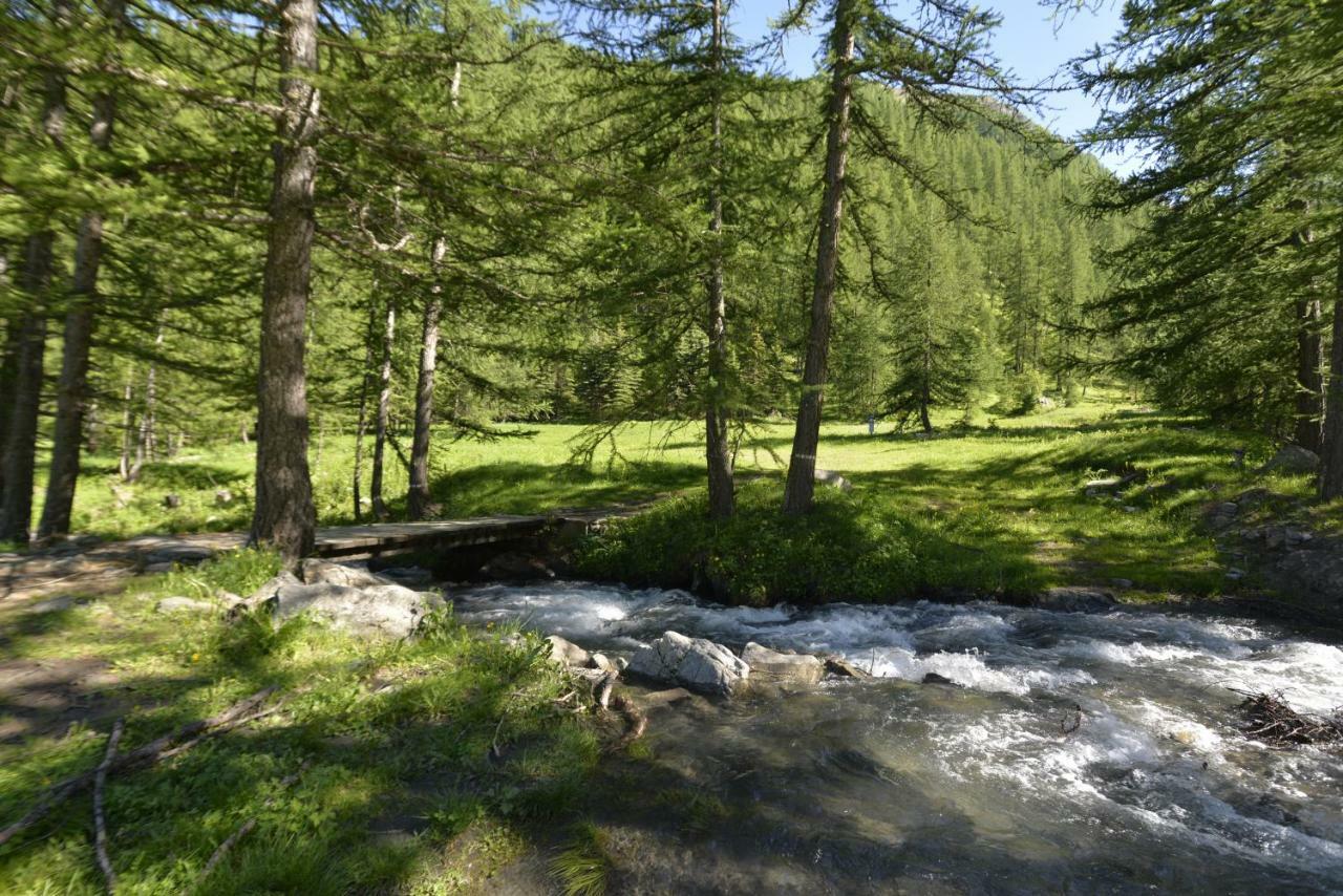 Studio Val Gardena 1 Puy-Saint-Vincent Εξωτερικό φωτογραφία